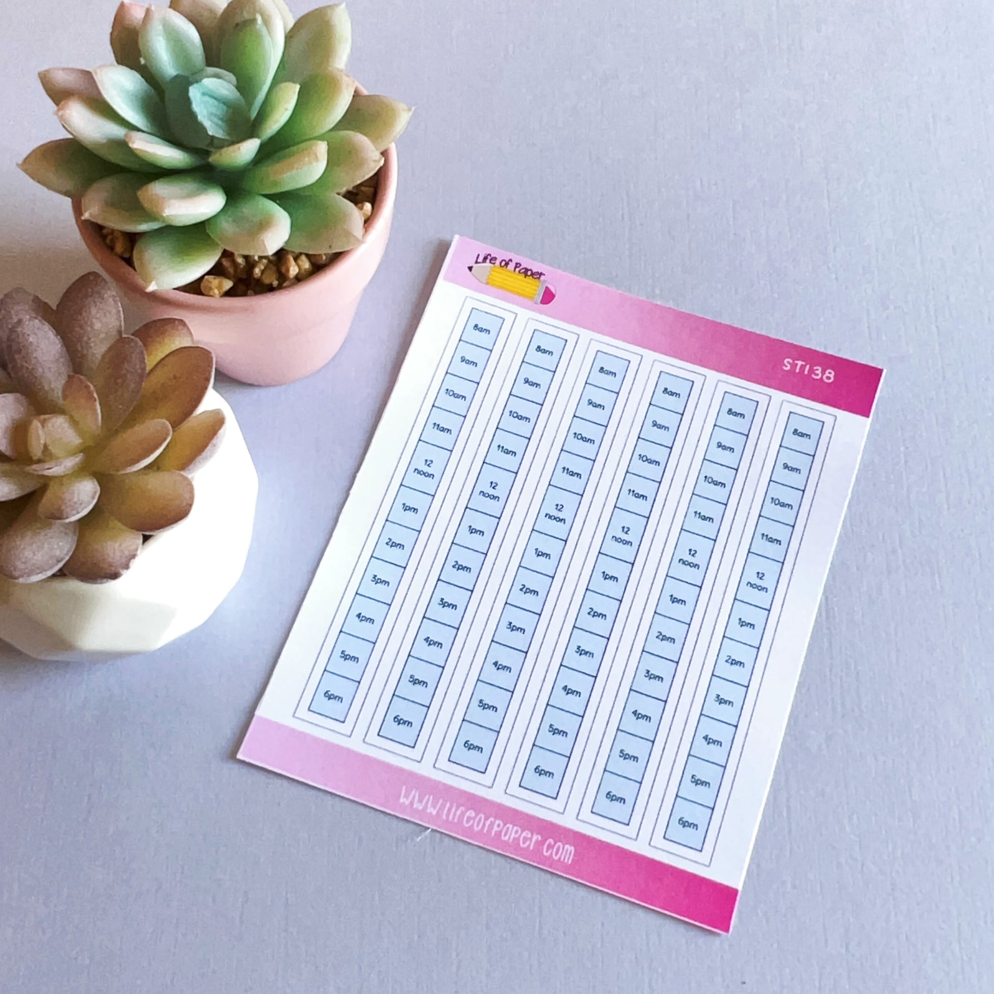 A sheet of Daily Schedule Planner Stickers with time labels, each reading "5am," is set on a pink-bordered background. The sheet lies on a light grey surface next to two small potted succulents, one with green leaves and the other with brownish-green leaves—perfect for organizing your daily schedule and boosting productivity.