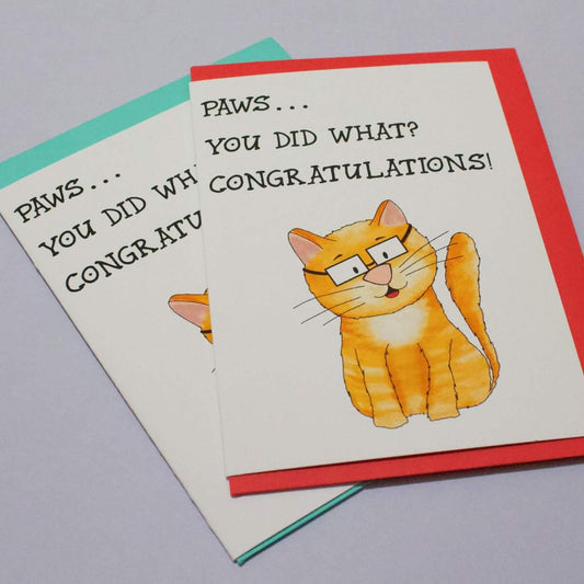 The Congratulations Cat Card set includes two congratulatory cards, each displaying a cartoon image of an orange cat wearing black glasses. Both cards feature the message, "PAWS... YOU DID WHAT? CONGRATULATIONS!" One card is bordered in red and the other in blue—ideal for celebrating a new job or any exciting milestone.